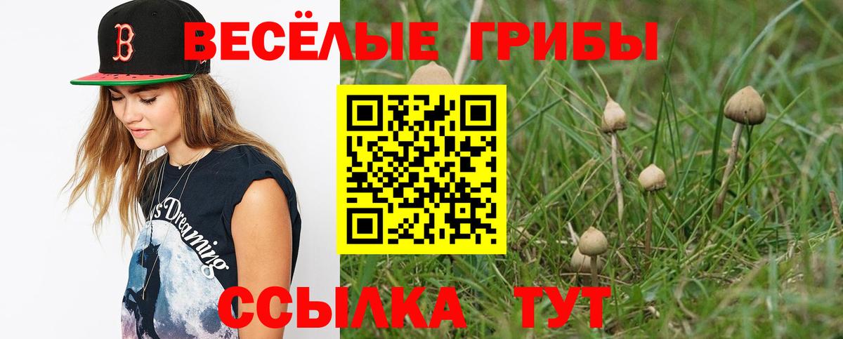 Галлюциногенные грибы MAGIC MUSHROOMS Ипатово